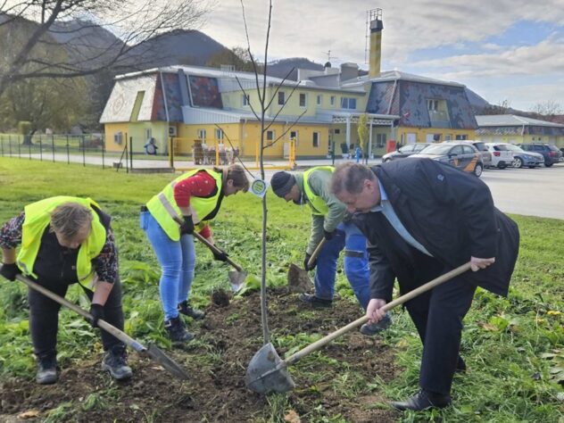 U Sklopu Projekta „Hrvatsko Prirodno Tvoja” U Lepoglavi Posađeno 25 Sadnica Lipe